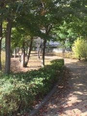 花輪1号緑地