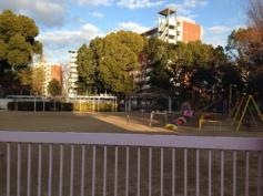 のばたけ幼稚園
