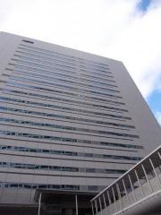株式会社電通国際情報サービス