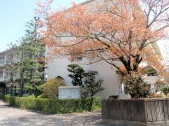 洛陽病院