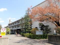 洛陽病院