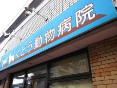 くどう動物病院