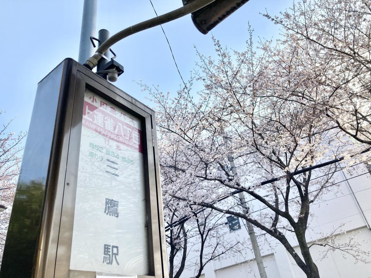 上連雀八丁目バス停