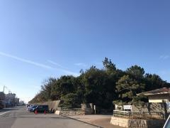 新浜緑地