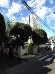 青い鳥保育園