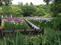 行田公園