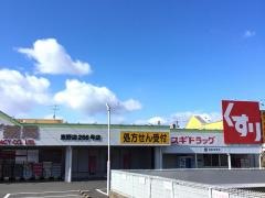 スギ薬局　東野店