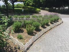 荒子川公園ガーデンプラザ
