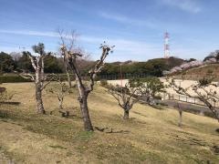 七曲公園