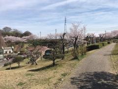 七曲公園