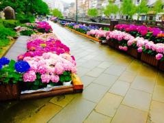 中島川公園
