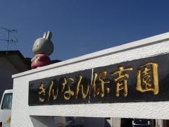 ぎんなん保育園
