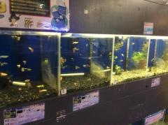 ペットプラザ八幡一ノ坪店