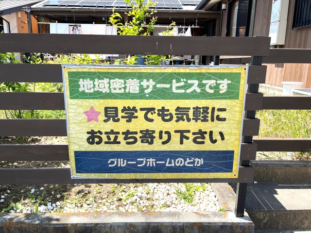 のどか