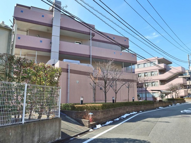 アルジャンメゾン紅梅