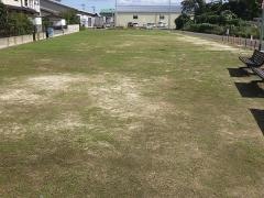 狐林緑地