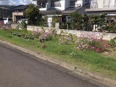 狐林緑地