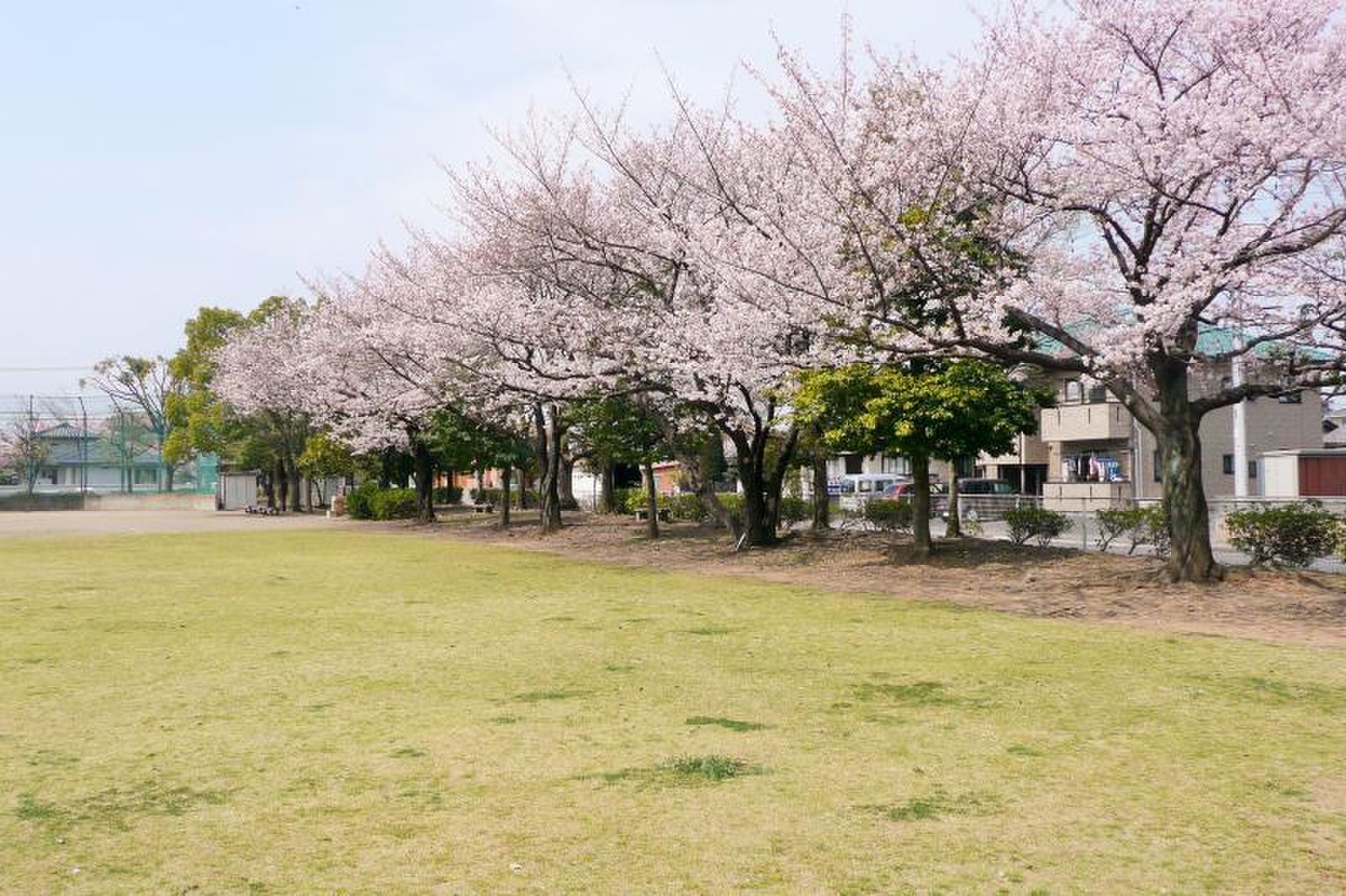 西藤 中央 公園
