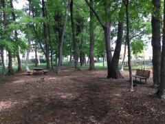 南中丸緑地公園