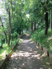 谷戸根緑地