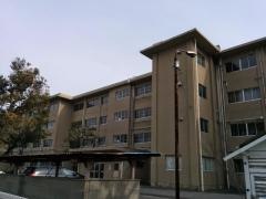 日新小学校