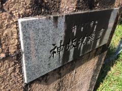 神坂幼稚園