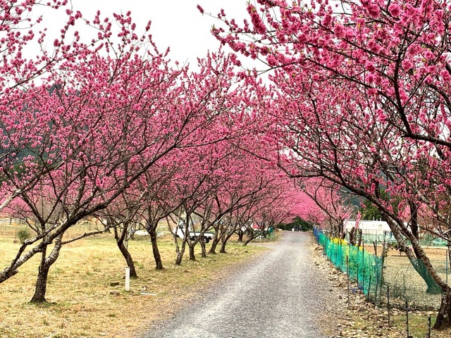 施設写真44