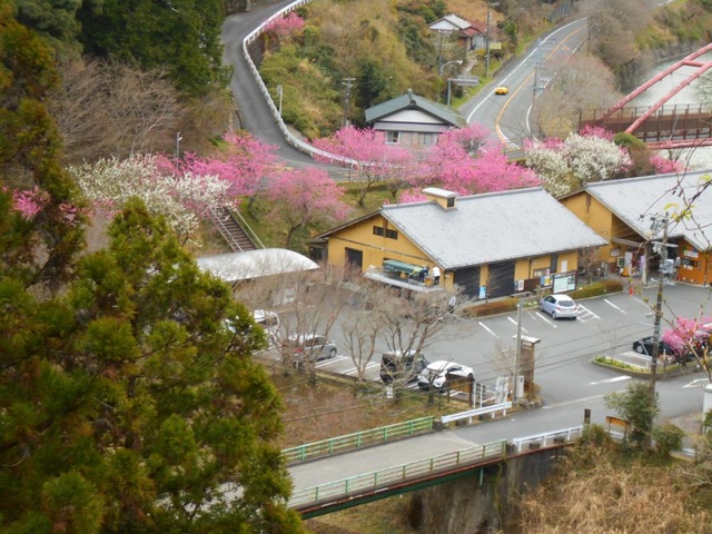 施設写真52
