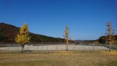 白竜湖スポーツ村公園