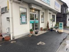 いやしやしの木整体院
