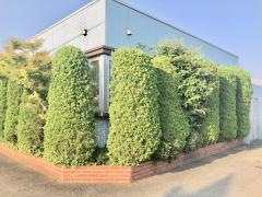 緒方歯科医院