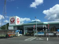 コメリハード＆グリーン　杵築山香店