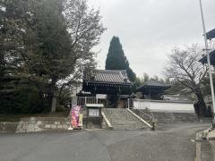 妙蓮寺