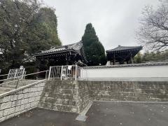 妙蓮寺
