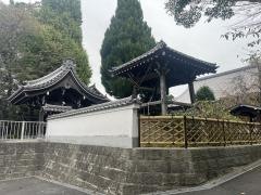妙蓮寺
