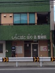 しらこばとはり灸整骨院