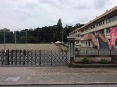桜木小学校
