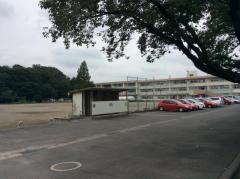 桜木小学校