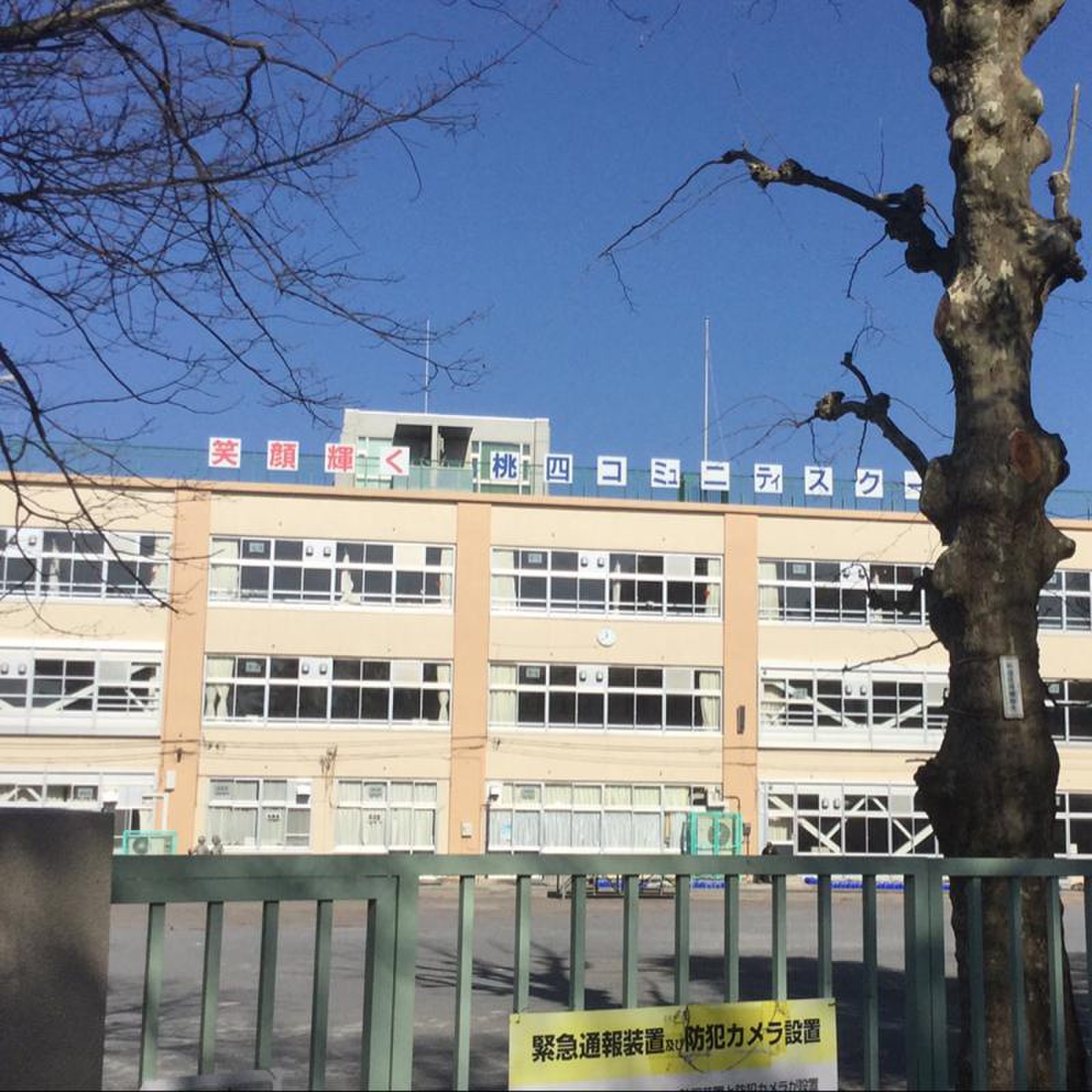 杉並 区立 桃井 第 四 小学校