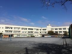 白根小学校