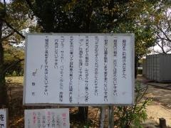 水島緑地