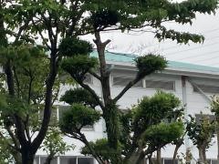 基里小学校