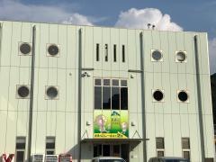 国立公園高崎山自然動物園