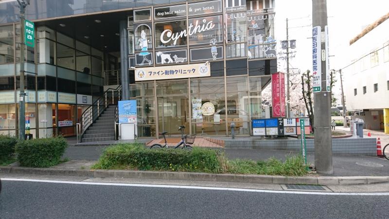外観