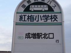 「紅梅小学校」バス停留所