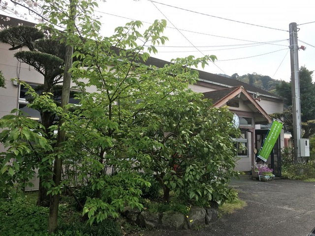 施設写真15