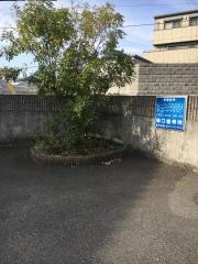樋口整骨院