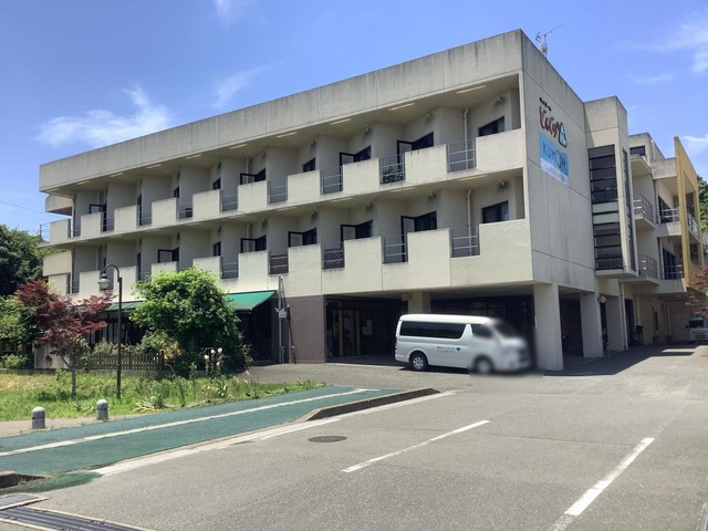 どんぐり