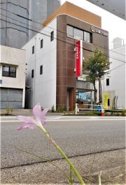 佐鳴予備校　刈谷高校前校