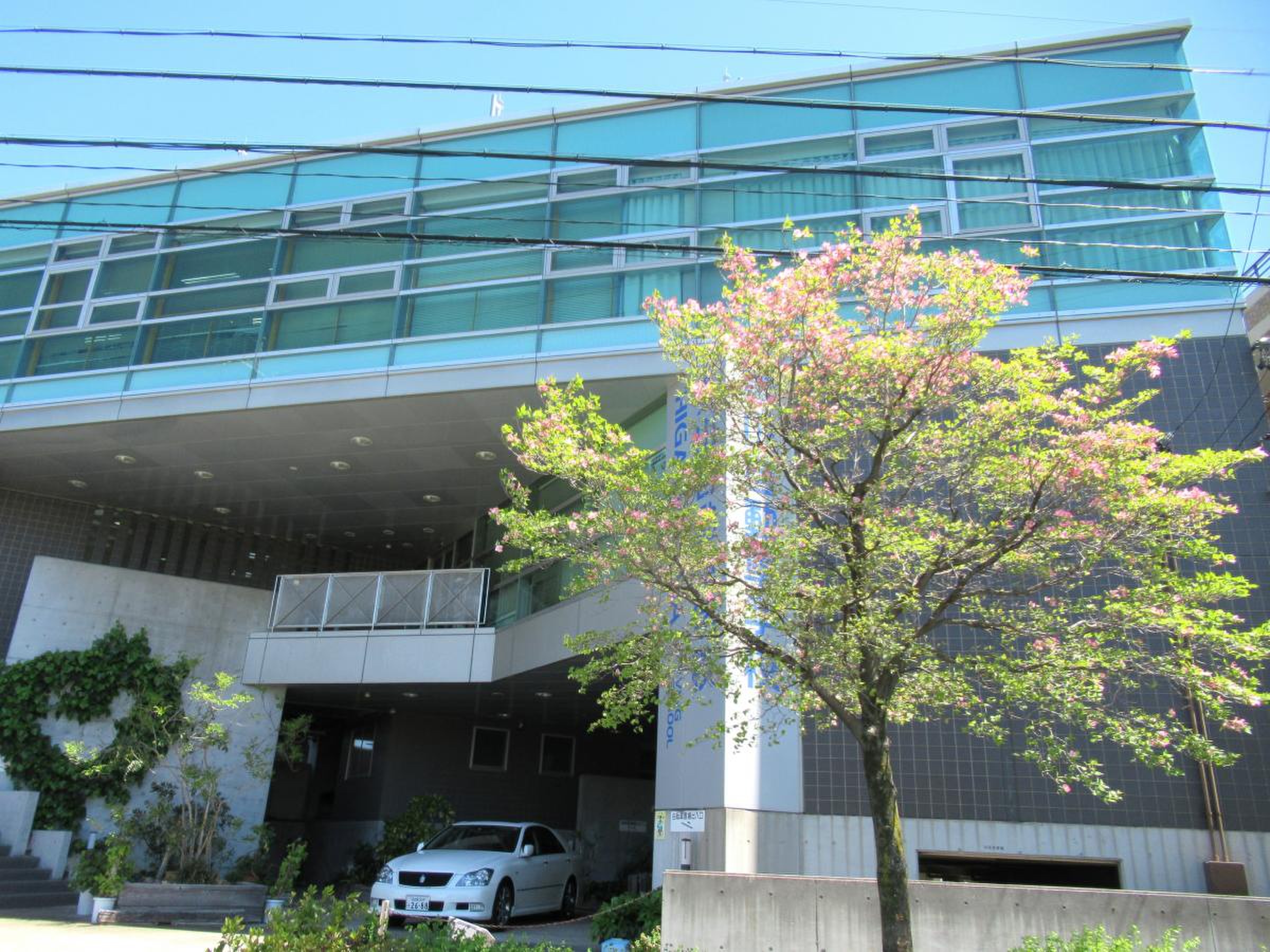 東山 自動車 学校
